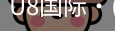 U8国际